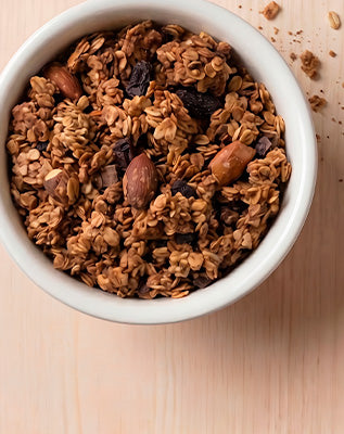 Granola Tradicional Especial Terrana
