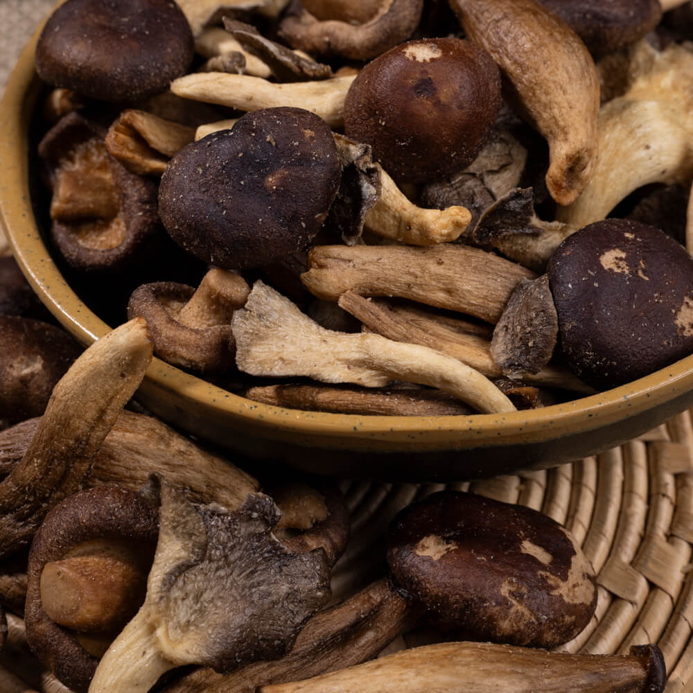 Mix de Cogumelos Liofilizados