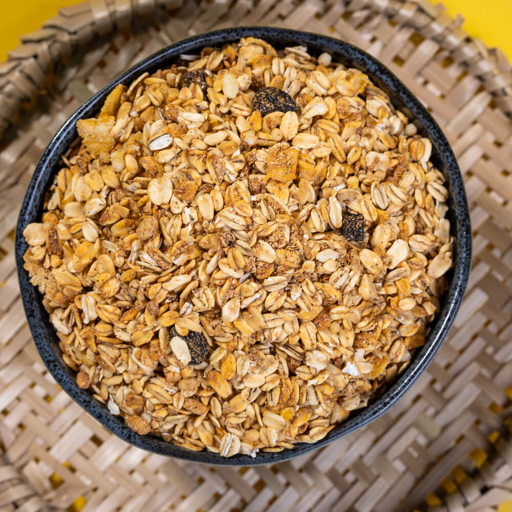 Granola Sem Açúcar Terrana