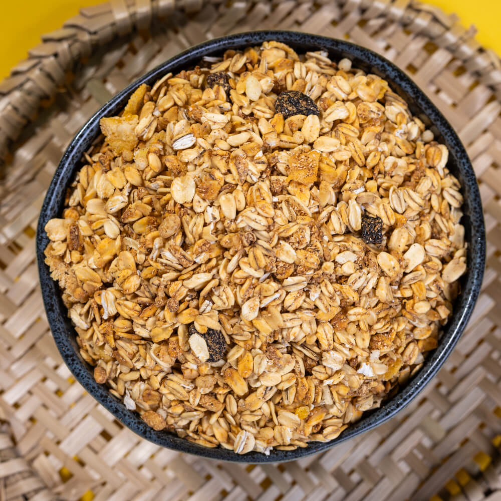Granola Sem Açúcar Terrana