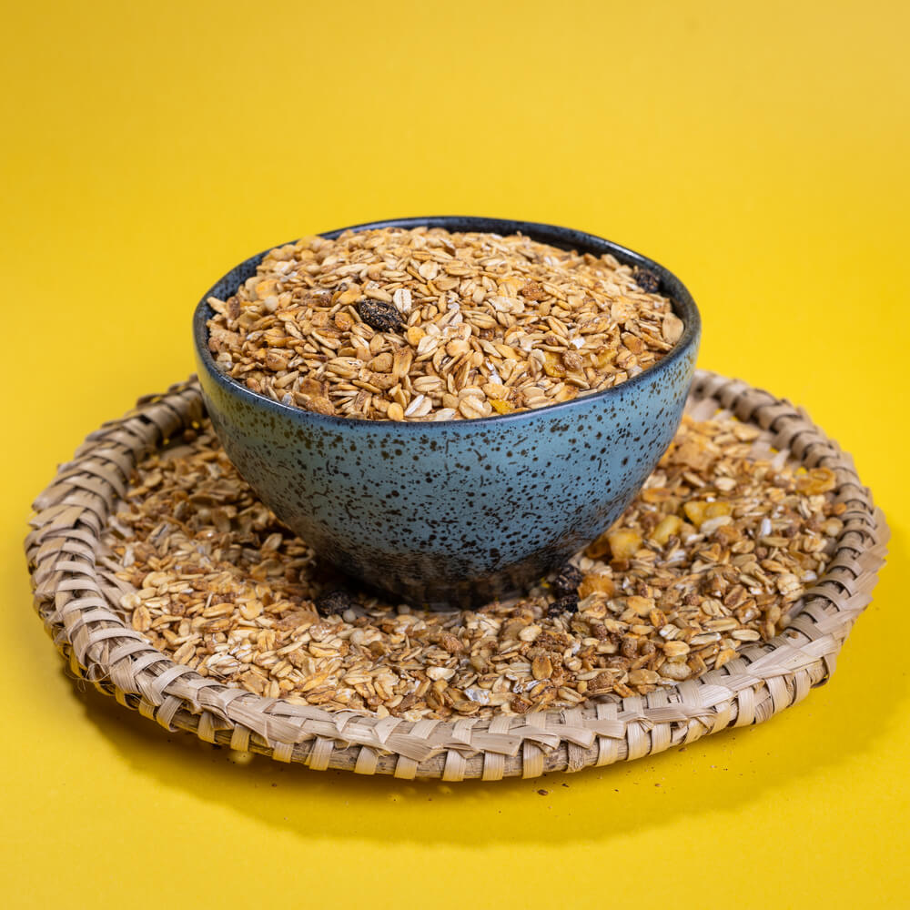 Granola Sem Açúcar Terrana
