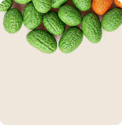 Snacks e Petiscos