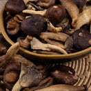 Mix de Cogumelos Liofilizados - Terrana