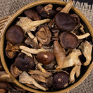 Mix de Cogumelos Liofilizados - Terrana
