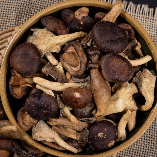 Mix de Cogumelos Liofilizados - Terrana